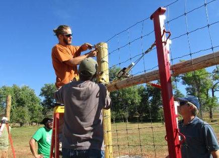 Volunteers building new orchard fence.